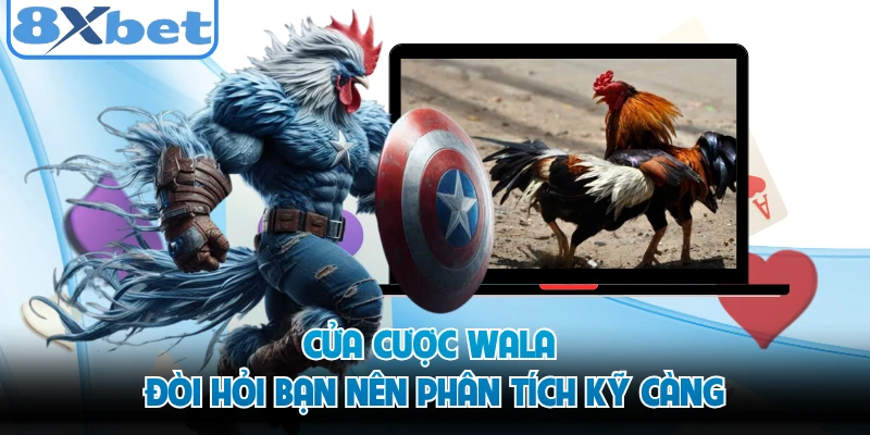 Cửa cược Wala đòi hỏi bạn nên phân tích kỹ càng