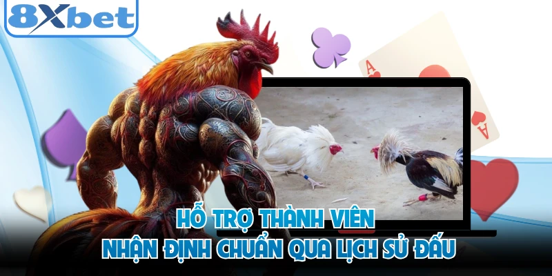 Hỗ trợ thành viên nhận định chuẩn qua lịch sử đấu
