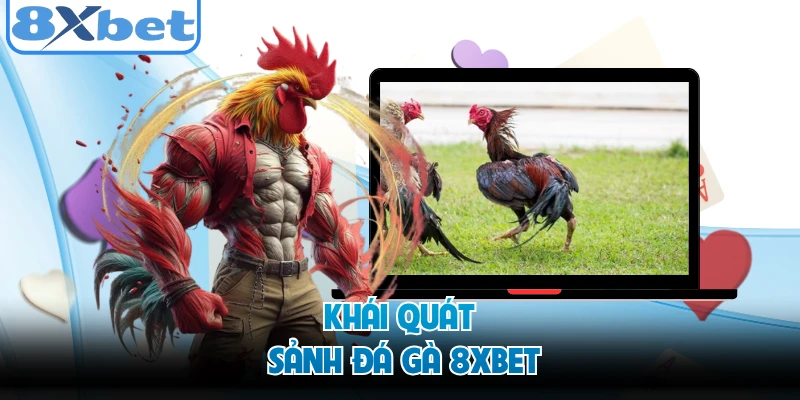 Khái quát sảnh đá gà 8XBET 