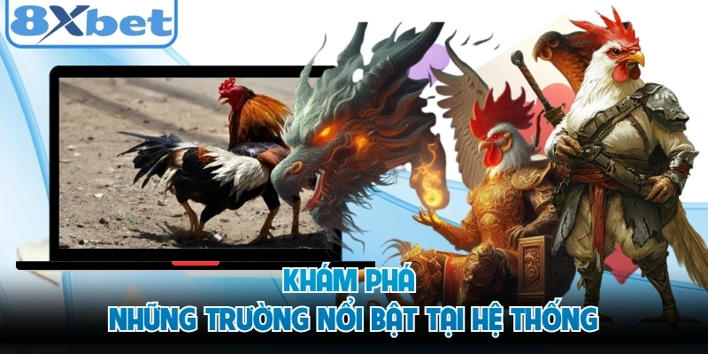 Khám phá những trường nổi bật tại hệ thống