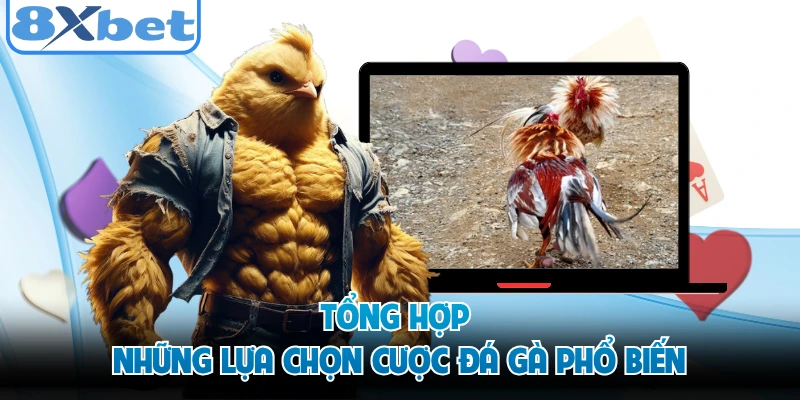 Tổng hợp những lựa chọn cược đá gà phổ biến 