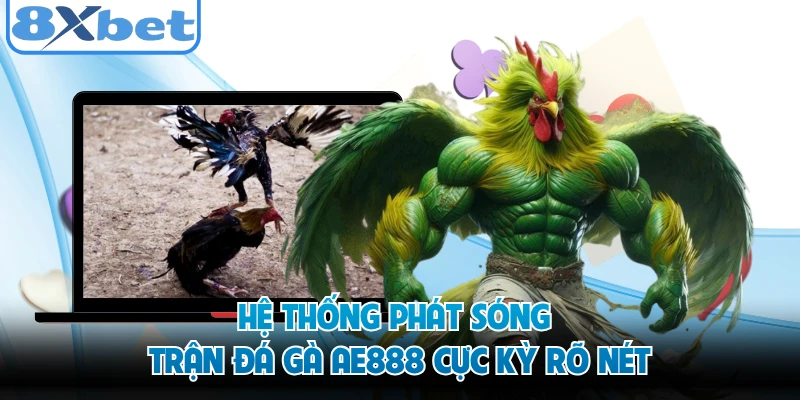 Hệ thống phát sóng trận đá gà AE888 cực kỳ rõ nét